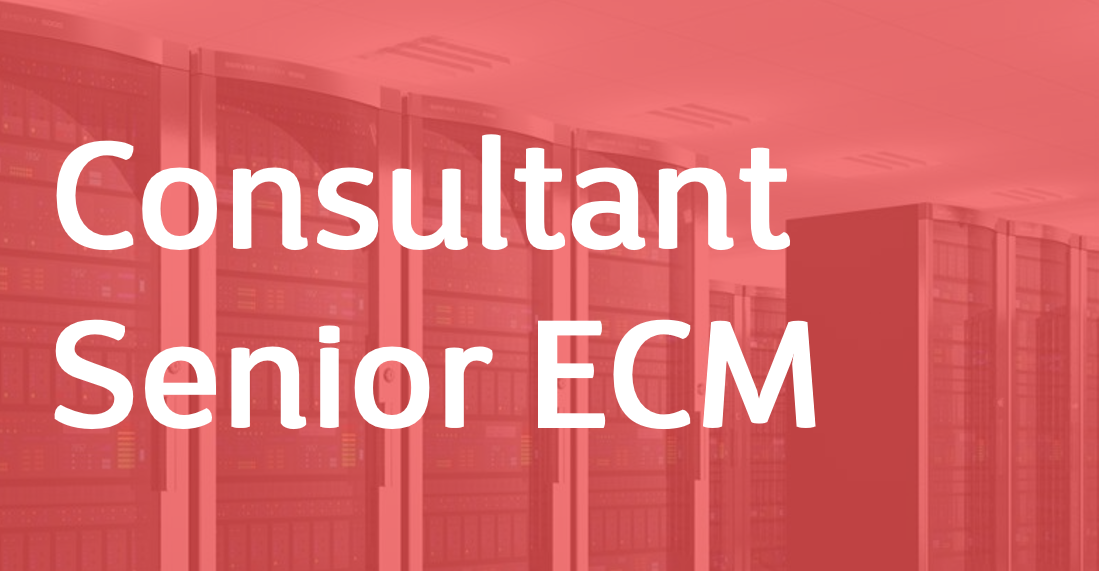 Consultant Senior ECM - FR/EN