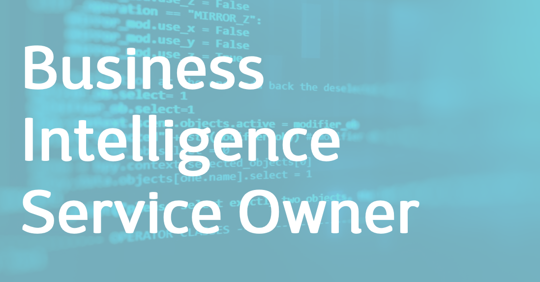 Business Intelligence Service Owner – EN