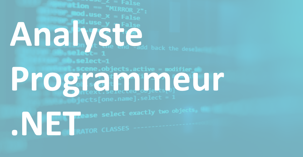 Analyste Programmeur .NET – FR/EN