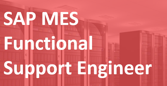 SAP MES Functional Support Engineer – EN/FR