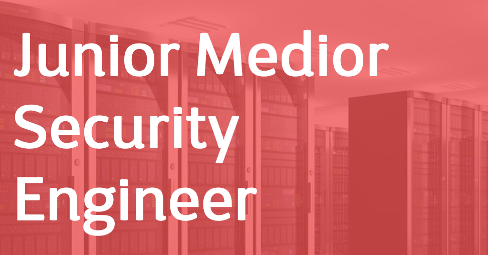 Junior Medior Security Engineer – FR/AN