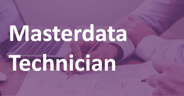 Masterdata Technician - Industrial Sector – EN